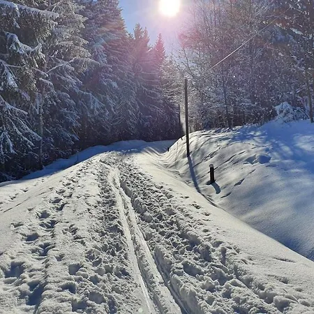 Waldhufenidyll Koenigswalde Im Erzgebirge * Konigswalde